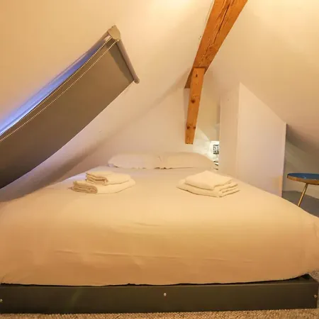 Le Factory Duplex En Vieille Cote Apartment Annecy