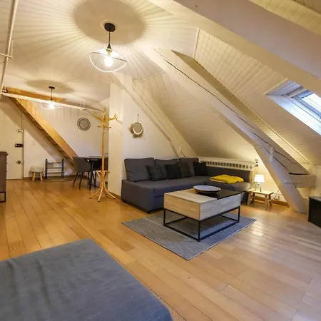 Apartment Le Factory Duplex En Vieille Cote